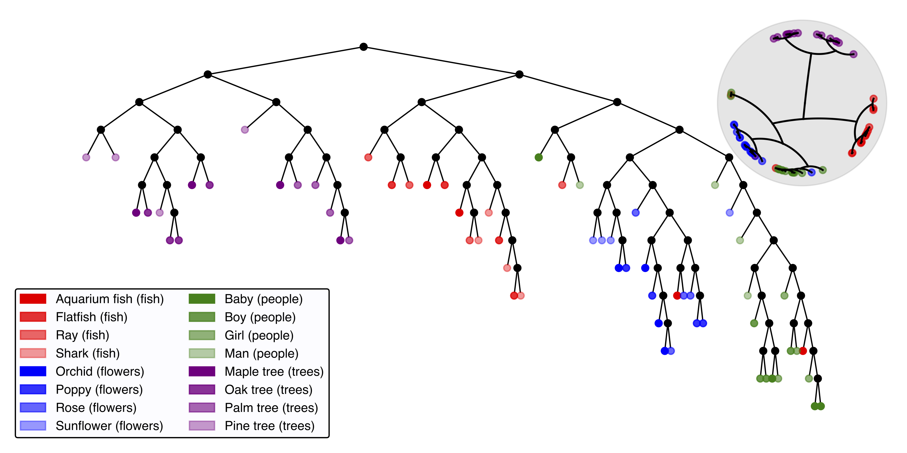 CIFAR100 visualization and learned hierarchy